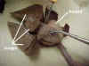 lungsheart.jpg (34549 bytes)