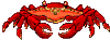 animated crab